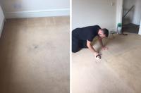 Be Bright Carpet Cleaning image 21